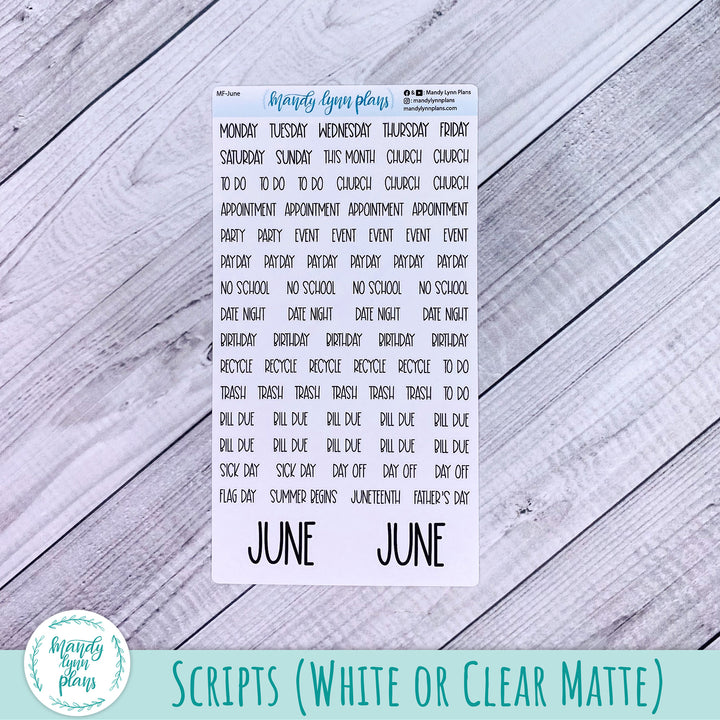 EC A5 June Monthly Kit || Peonies || MK-EC5-269