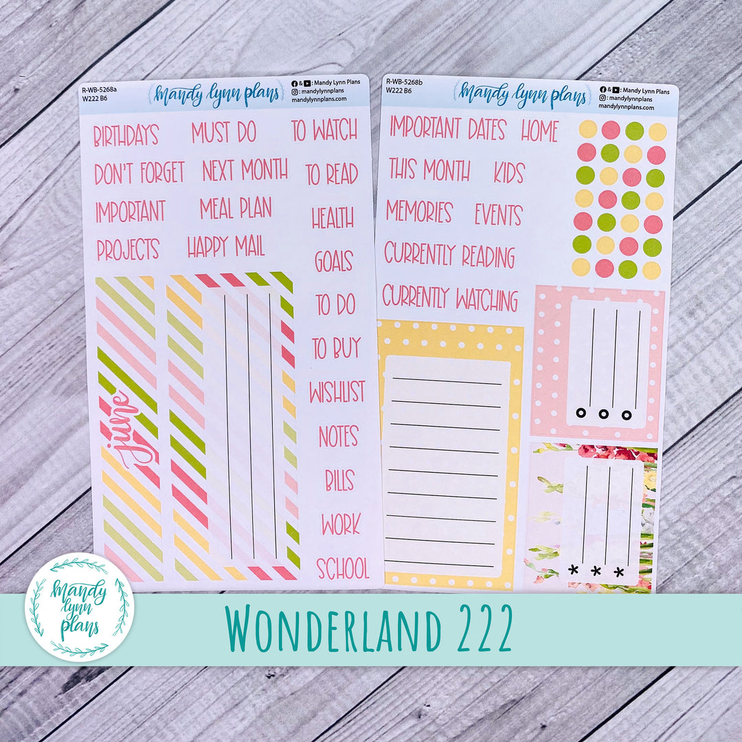 2024  June Wonderland 222 Dashboard || Gladiolus || 268