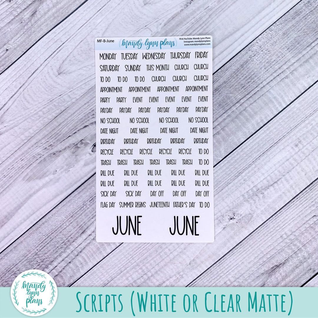 June 2024 Common Planner Monthly Kit || Hawaiian Breeze || 267