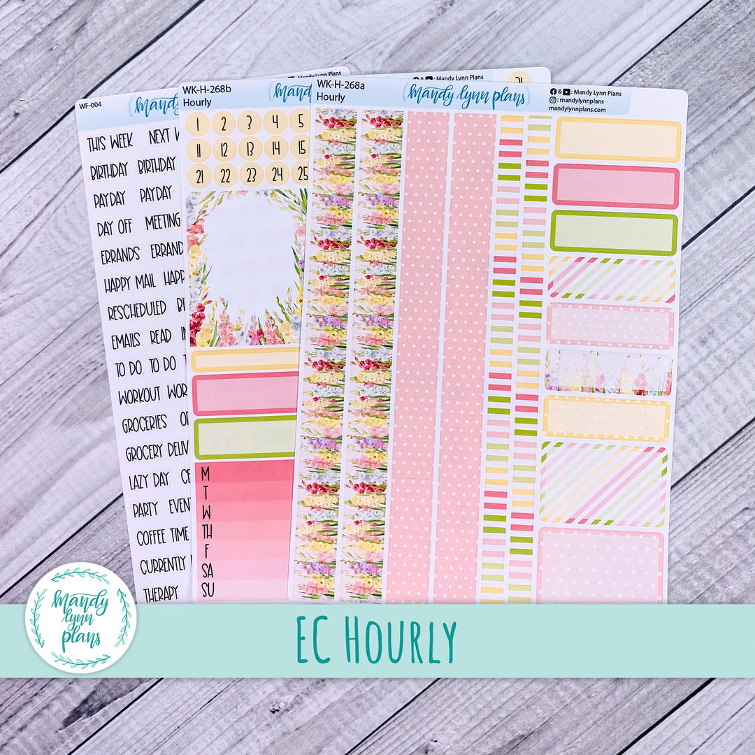 EC Hourly Weekly Kit || Gladiolus || WK-H-268