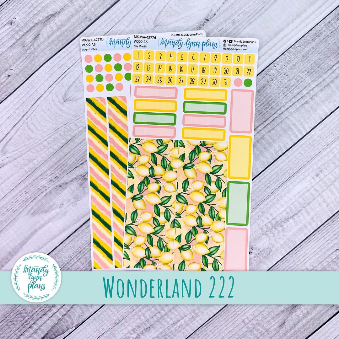 2024 Any Month Wonderland 222 Monthly Kit || Lemons || 277