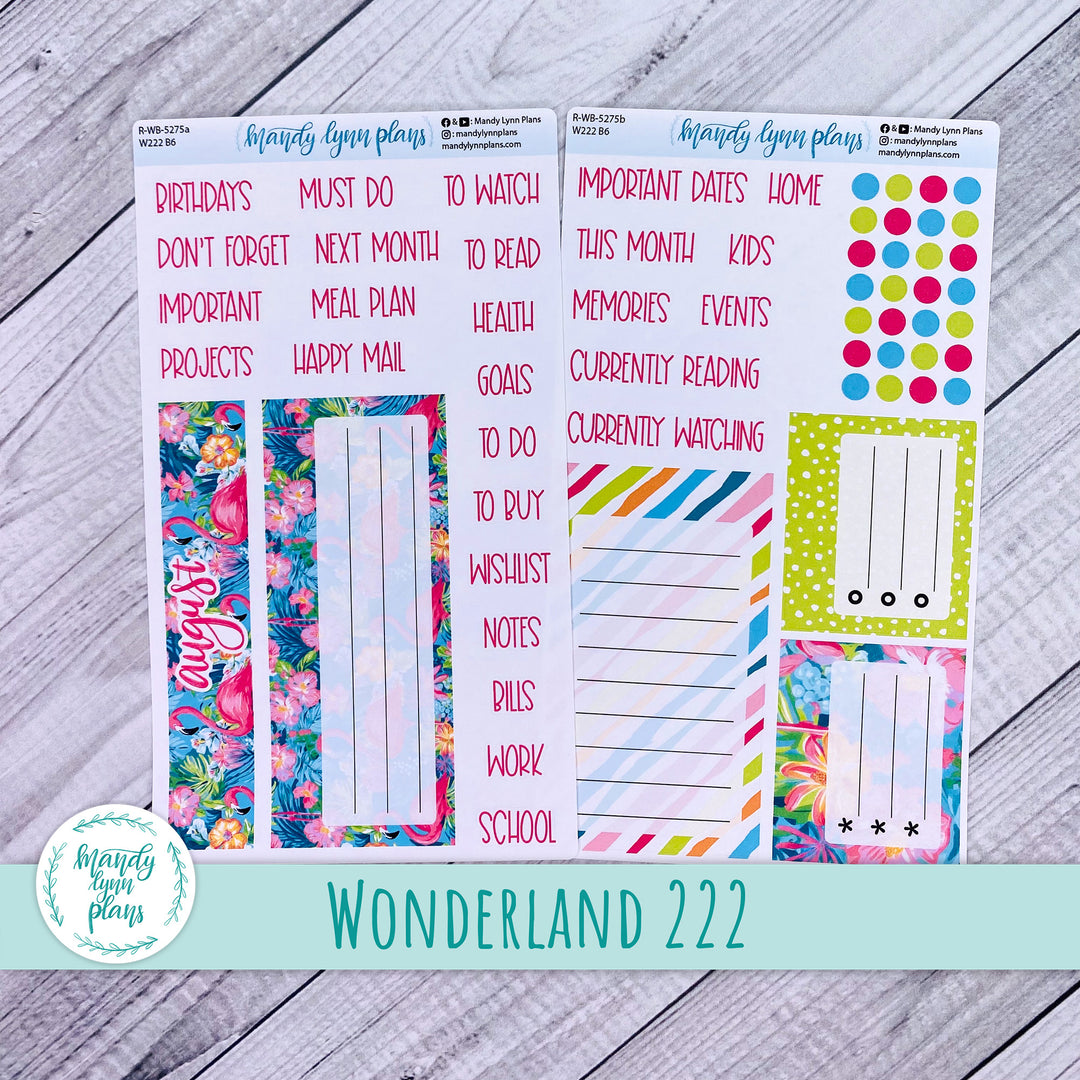 2024  August Wonderland 222 Dashboard || Flamingos || 275