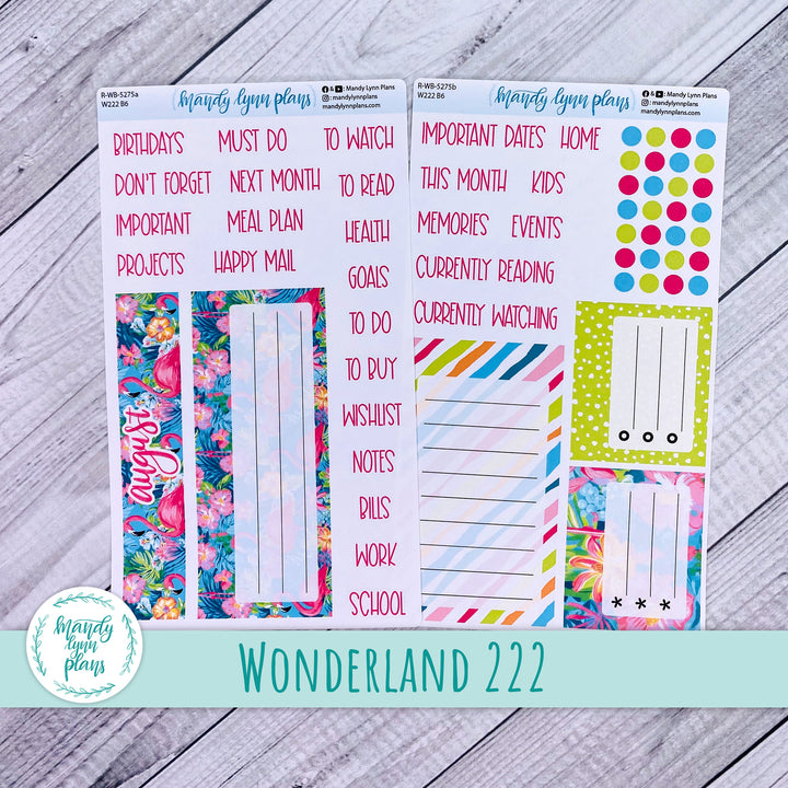 2024  August Wonderland 222 Dashboard || Flamingos || 275