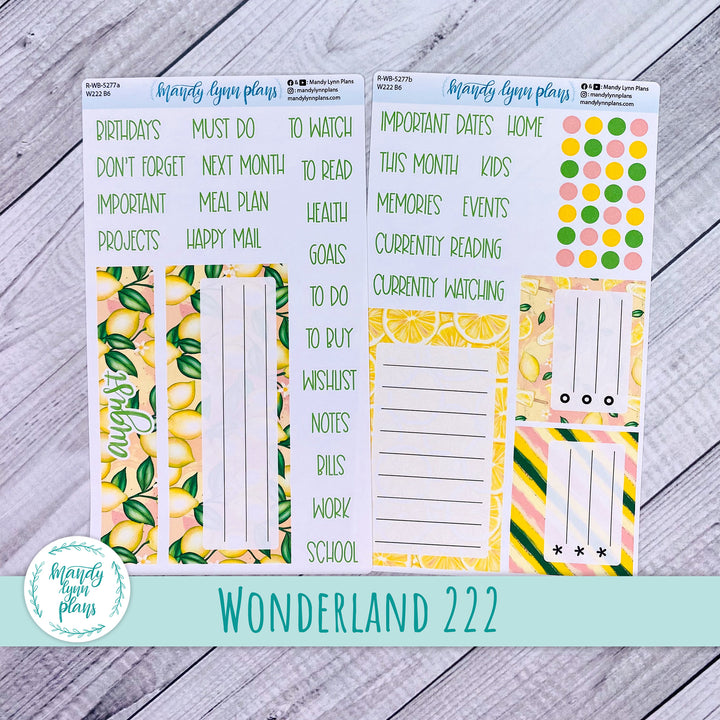 2024  August Wonderland 222 Dashboard || Lemons || 277