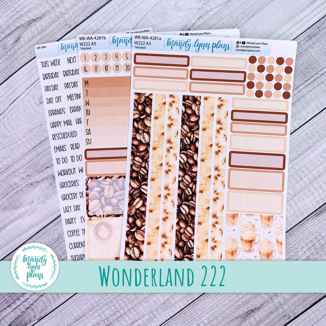 2024  Wonderland 222 Weekly Kit || Java || 281