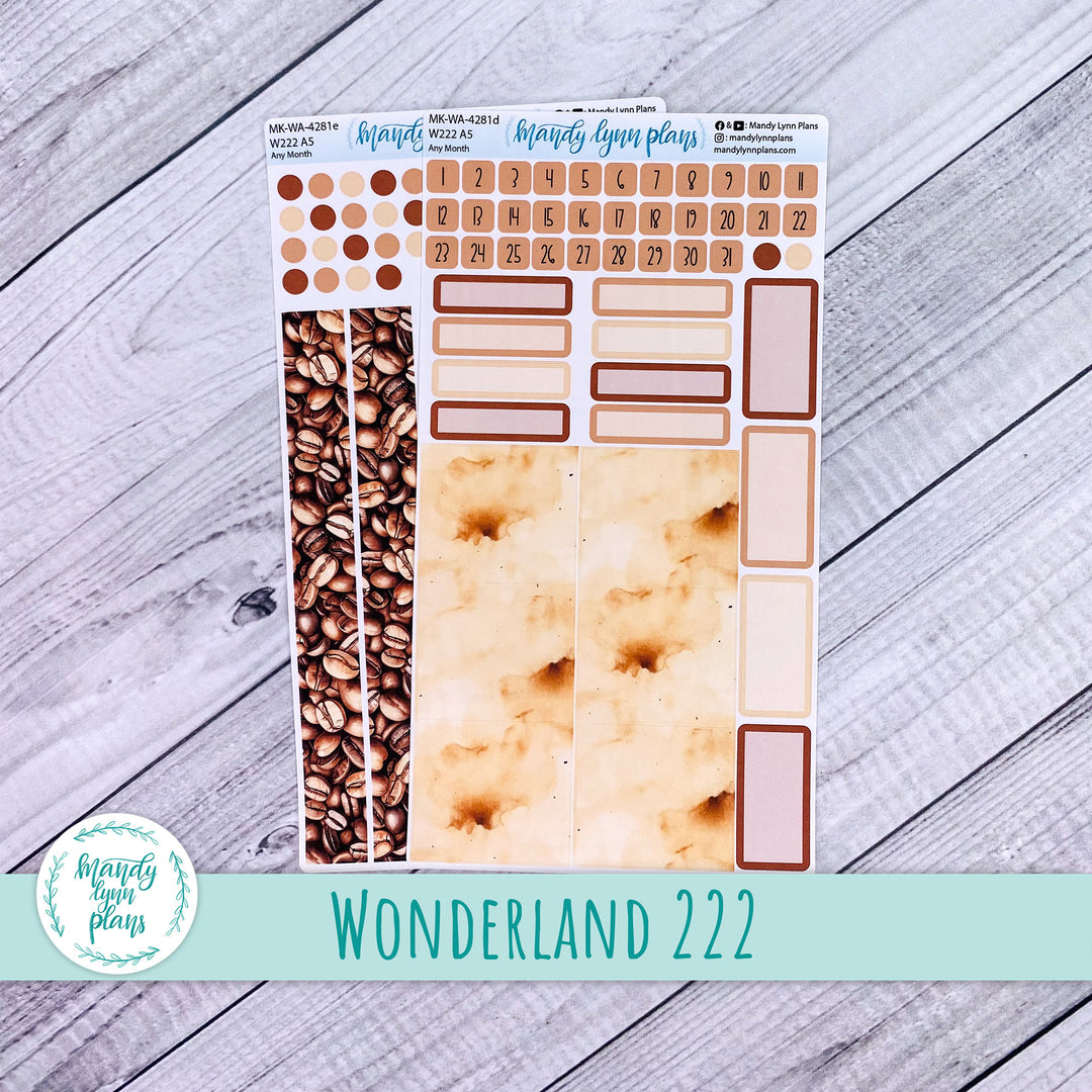 2024 Any Month Wonderland 222 Monthly Kit || Java || 281