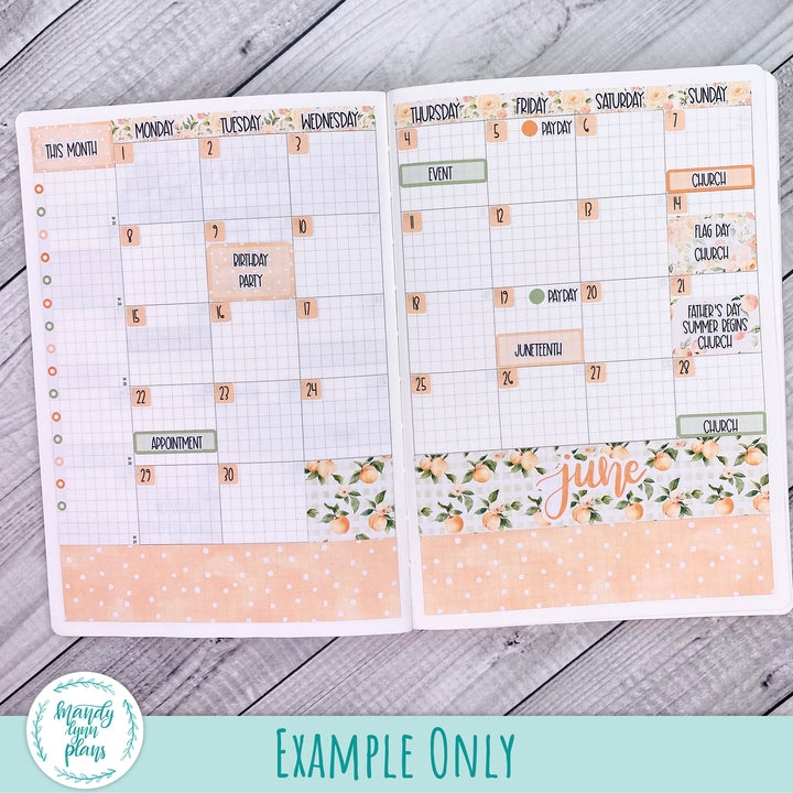 June 2026 or Any Month Monthly Kit || Sterling Ink A5, A5 Slim, B6, B6 Slim, N1, N2 Common Planner || Traveling Trellis || 364