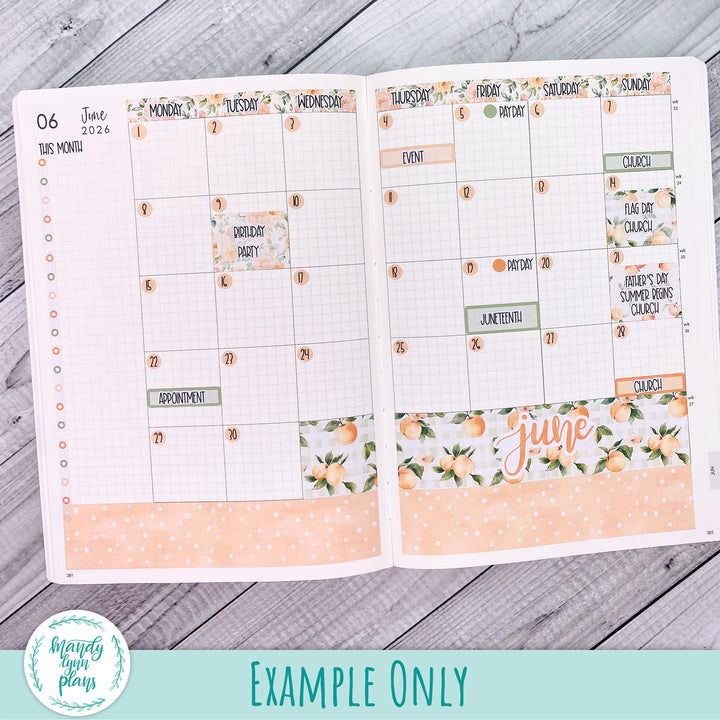 June 2026 or Any Month Monthly Kit || A5, B6, A6 Plans by Just Scribble || Gingham Gardens || 365
