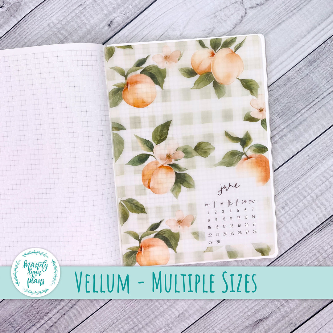 Peaches & Cream Vellum || 366