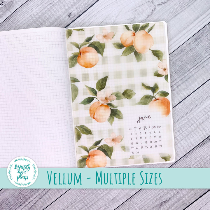 Peaches & Cream Vellum || 366