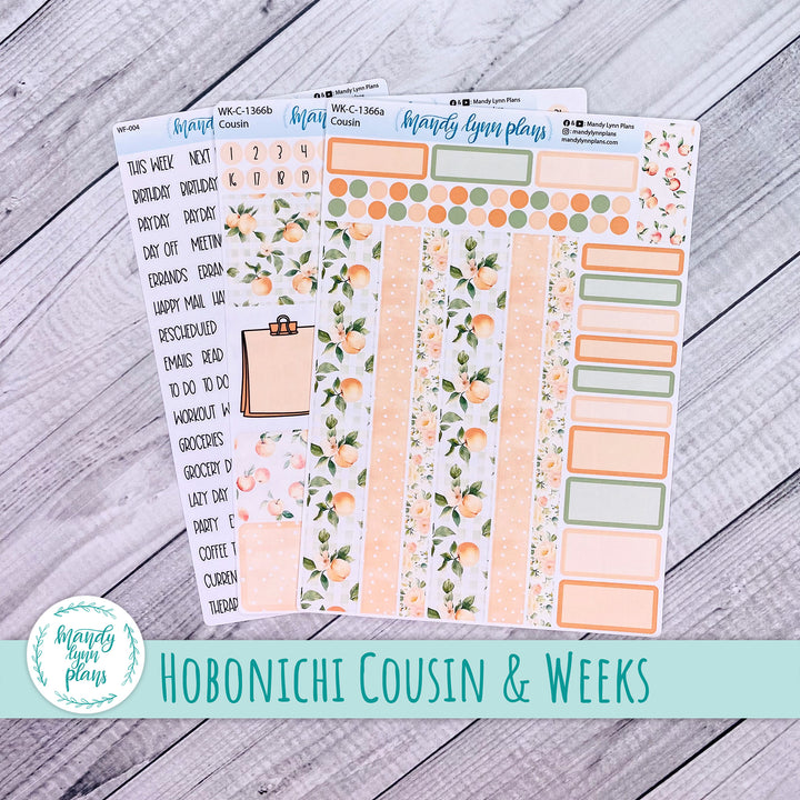 Weekly Kit || Hobonichi Cousin and Weeks || Peaches & Cream || 366