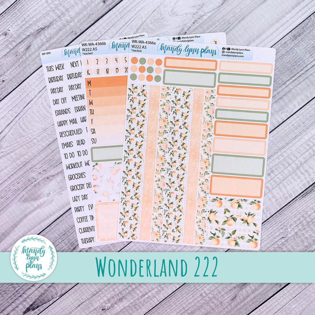 Weekly Kit || Wonderland 222 A5, B6, A6 || Stacked, Unstacked, Horizontal || Peaches & Cream || 366