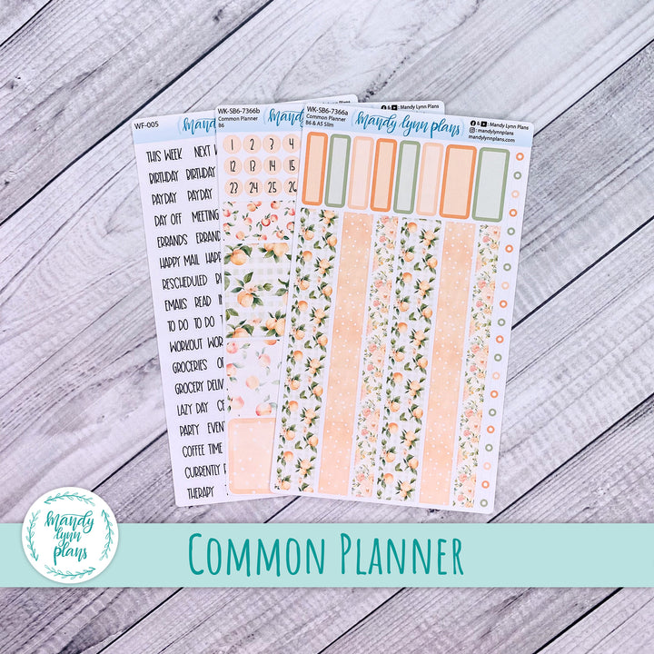 Weekly Kit || Sterling Ink Common Planners || Peaches & Cream || 366