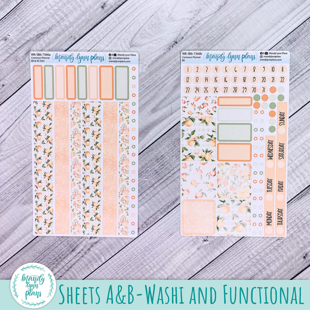 Weekly Kit || Sterling Ink Common Planners || Peaches & Cream || 366
