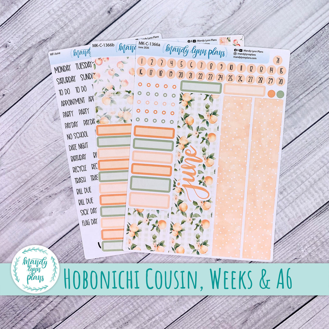 June 2026 or Any Month Monthly Kit || Hobonichi Cousin, Weeks, A6 || Peaches & Cream || 366