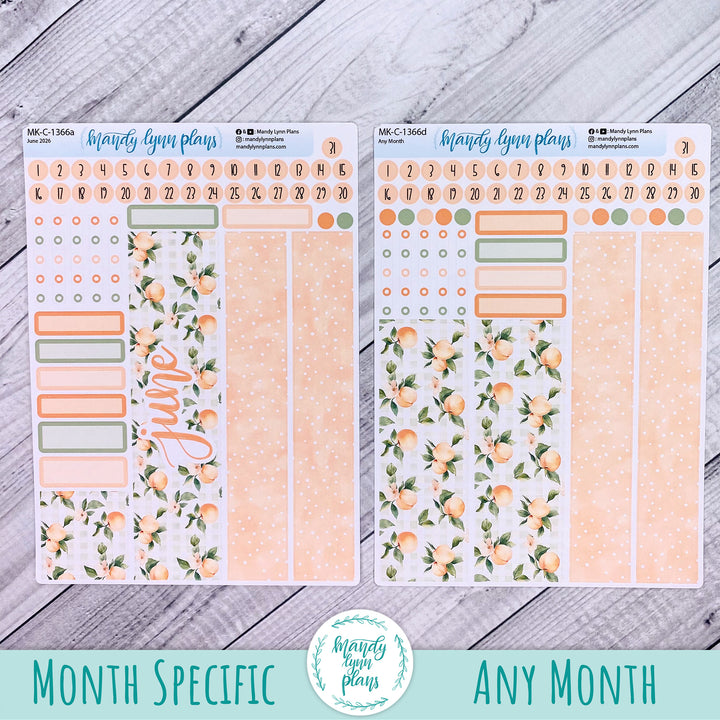 June 2026 or Any Month Monthly Kit || Hobonichi Cousin, Weeks, A6 || Peaches & Cream || 366