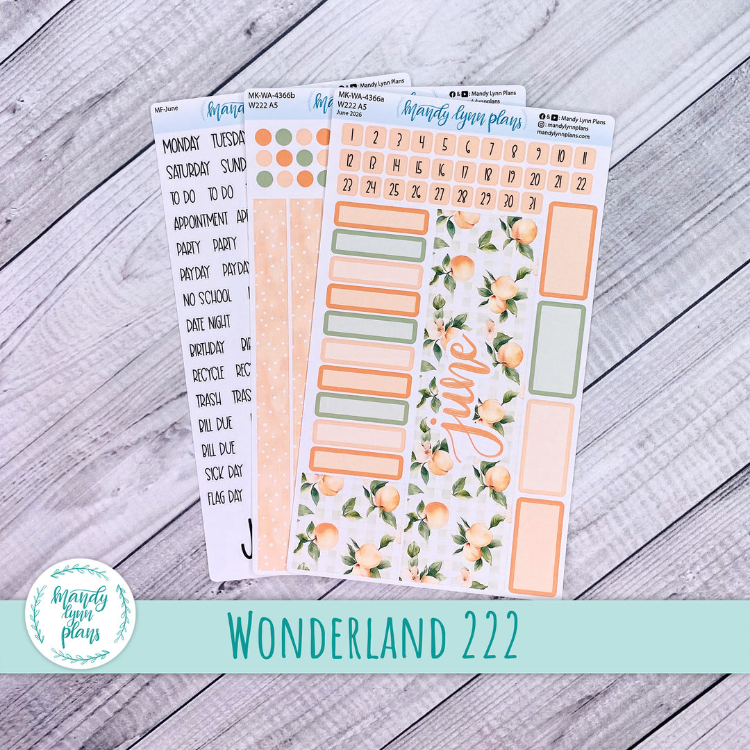 June 2026 or Any Month Monthly Kit || Wonderland 222 A5, B6, A6 || Peaches & Cream || 366