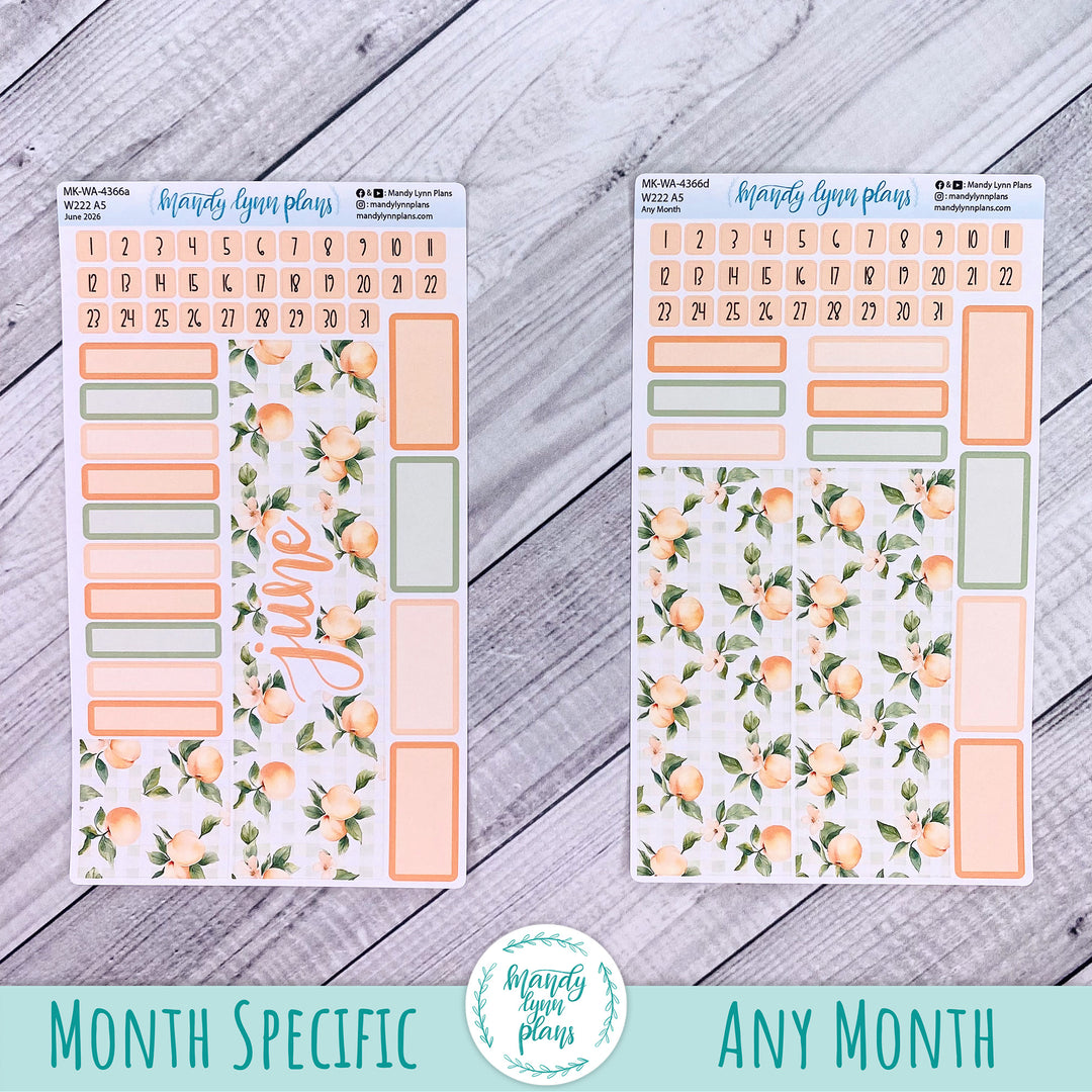June 2026 or Any Month Monthly Kit || Wonderland 222 A5, B6, A6 || Peaches & Cream || 366