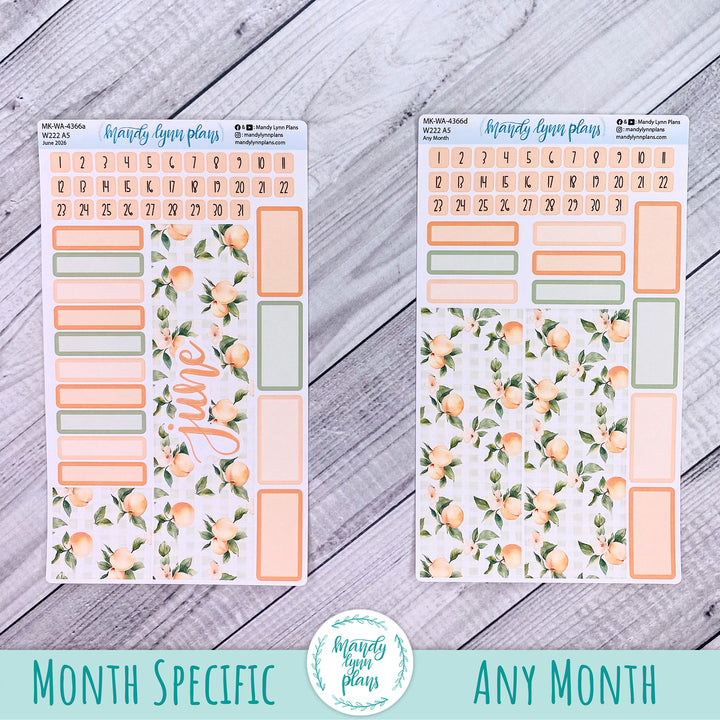 June 2026 or Any Month Monthly Kit || Wonderland 222 A5, B6, A6 || Peaches & Cream || 366