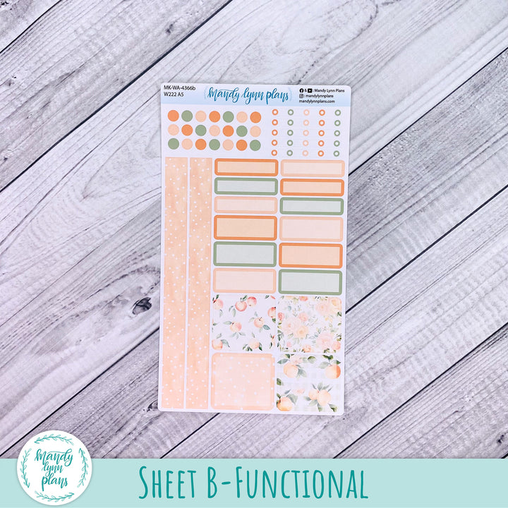 June 2026 or Any Month Monthly Kit || Wonderland 222 A5, B6, A6 || Peaches & Cream || 366