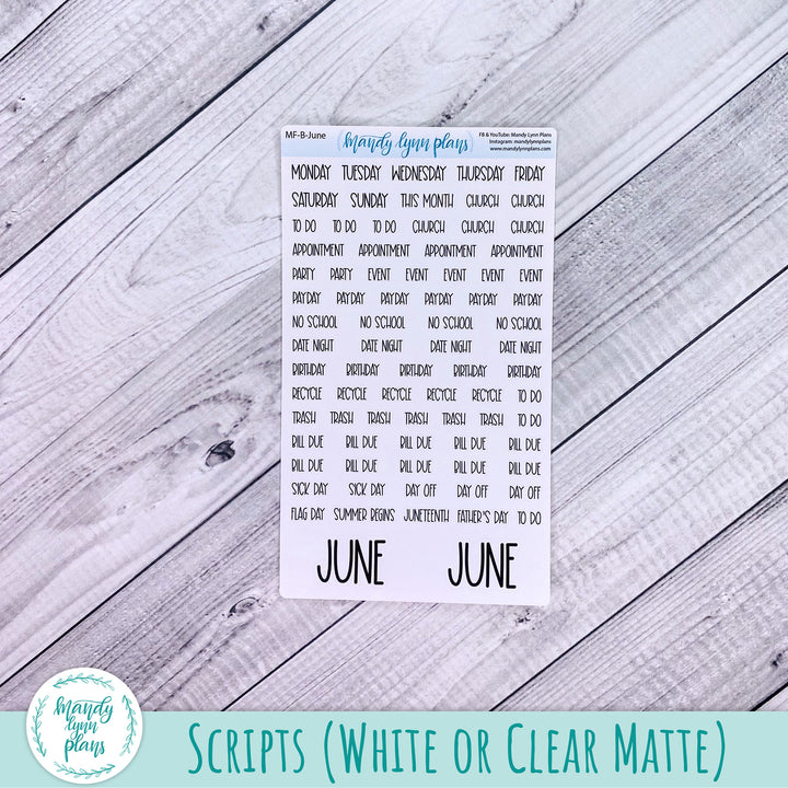 June 2026 or Any Month Monthly Kit || A5, B6, A6 Plans by Just Scribble || Gingham Gardens || 365