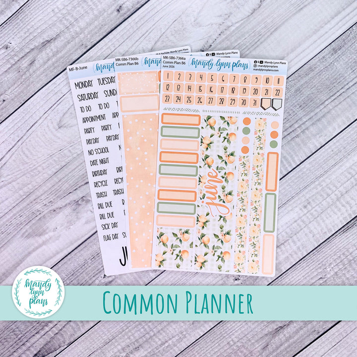 June 2026 or Any Month Monthly Kit || Sterling Ink A5, A5 Slim, B6, B6 Slim, N1, N2 Common Planner || Peaches & Cream || 366
