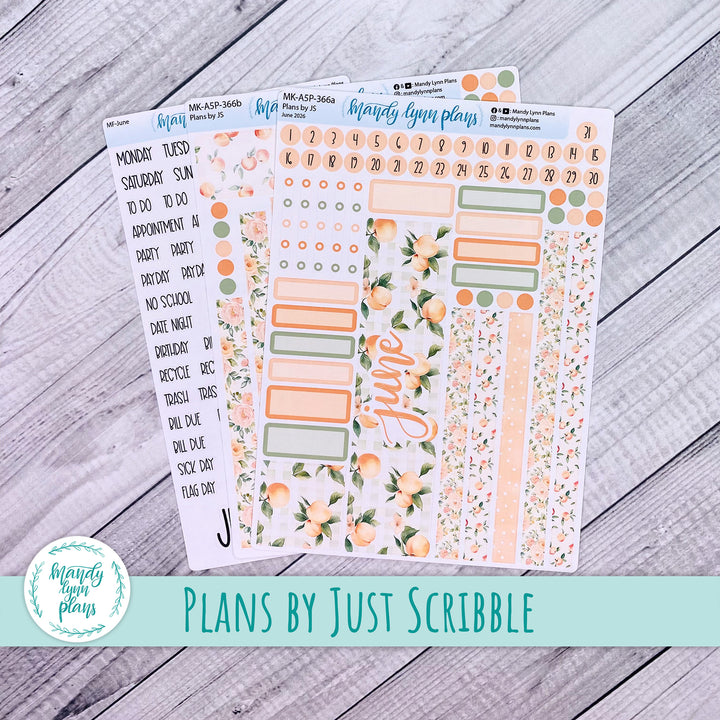 June 2026 or Any Month Monthly Kit || A5, B6, A6 Plans by Just Scribble || Peaches & Cream || 366