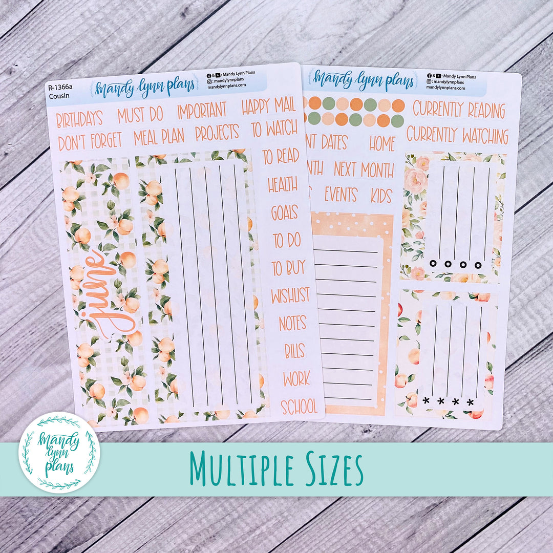 June Dashboard Kit || Hobonichi, Common Planner, Wonderland 222, Plans by Just Scribble || Peaches & Cream || 366