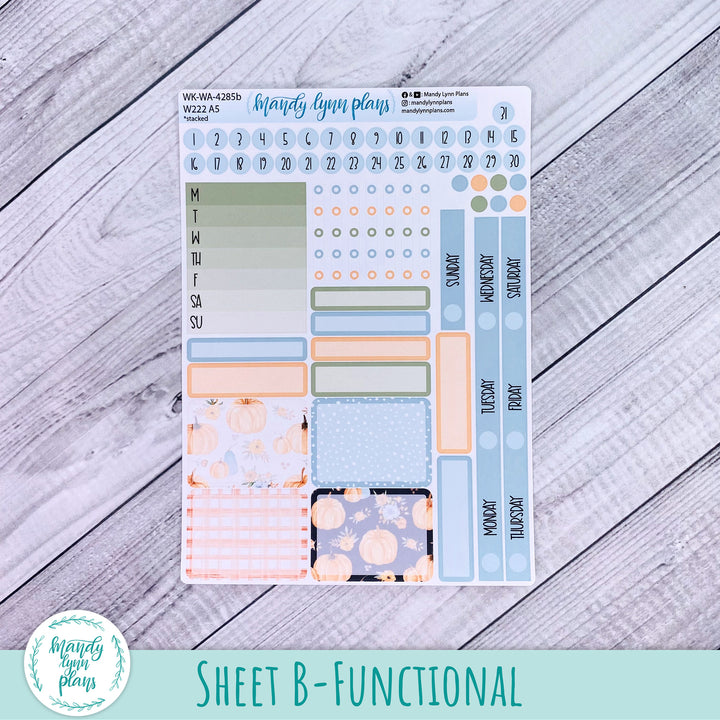 2024  Wonderland 222 Weekly Kit || Pumpkin Floral || 285