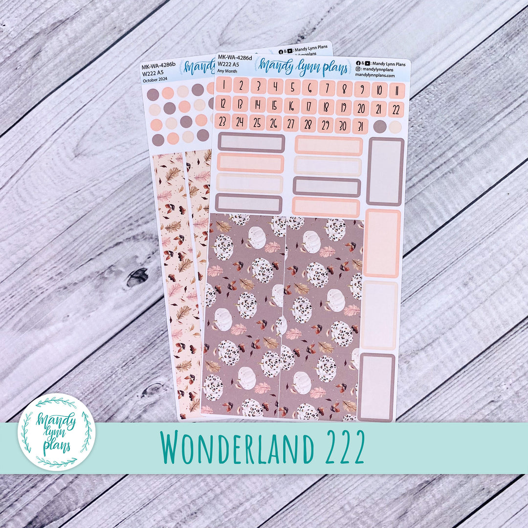 2024 Any Month Wonderland 222 Monthly Kit || Blush and Spice || 286