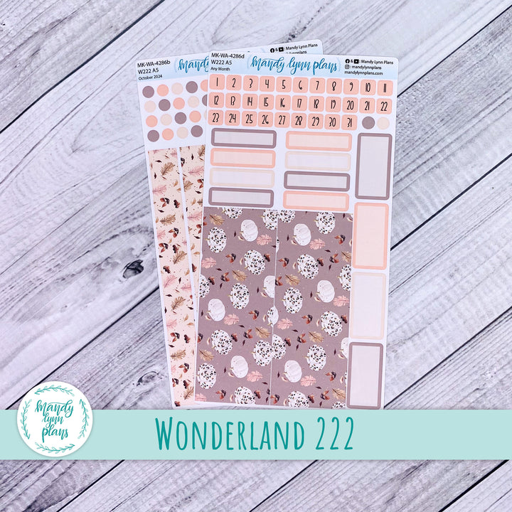 2024 Any Month Wonderland 222 Monthly Kit || Blush and Spice || 286