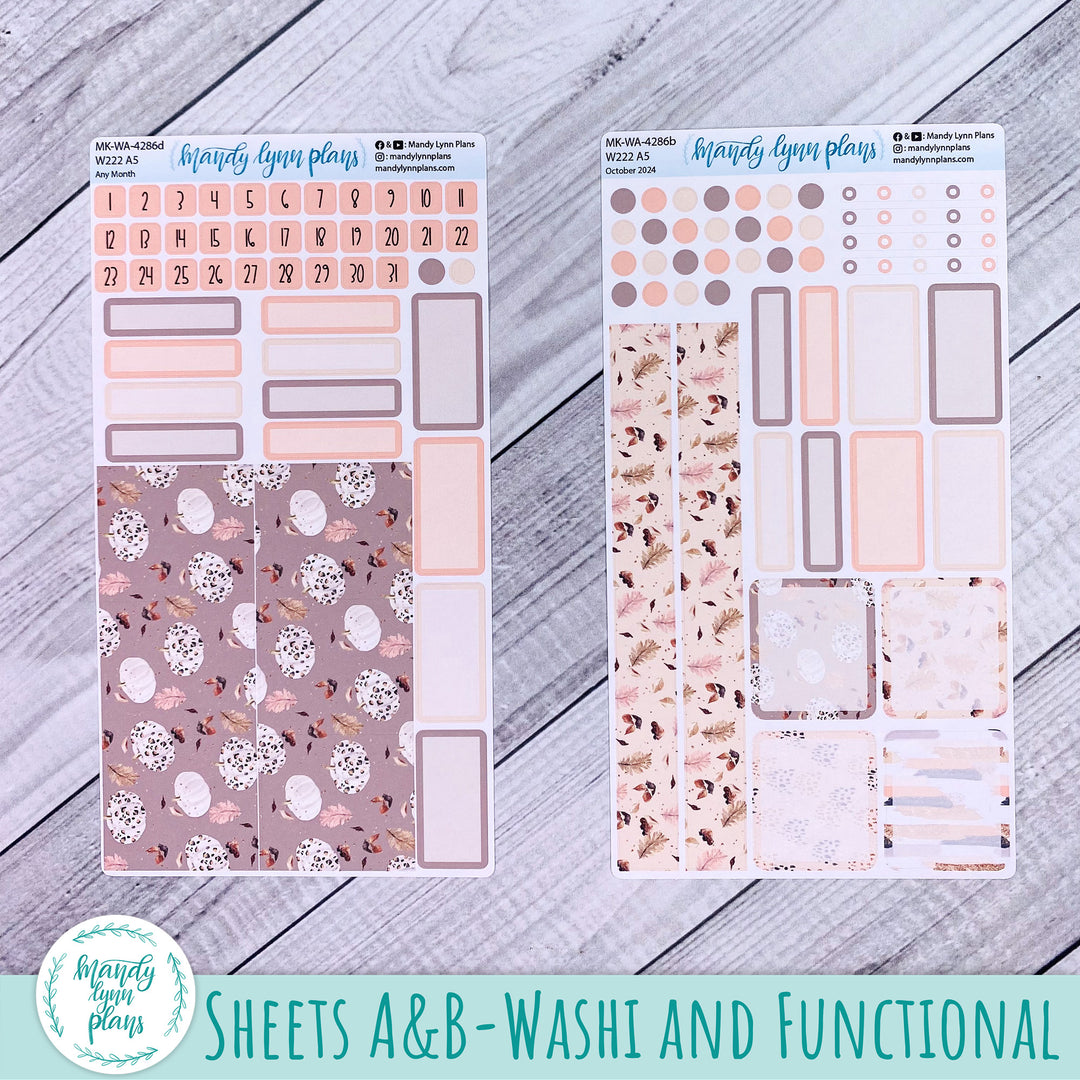 2024 Any Month Wonderland 222 Monthly Kit || Blush and Spice || 286