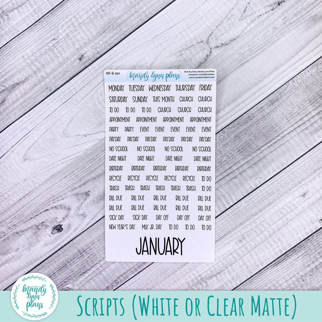 January 2027 or Any Month Monthly Kit || Sterling Ink Common, Core, Complete Planners || Book Club || 393