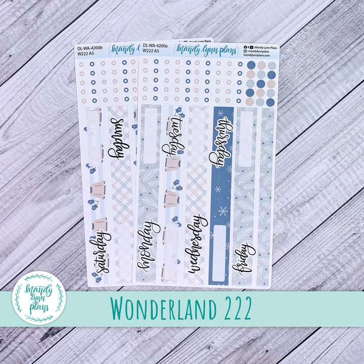 2024  Wonderland 222 Daily Kit || Stay Warm || 200