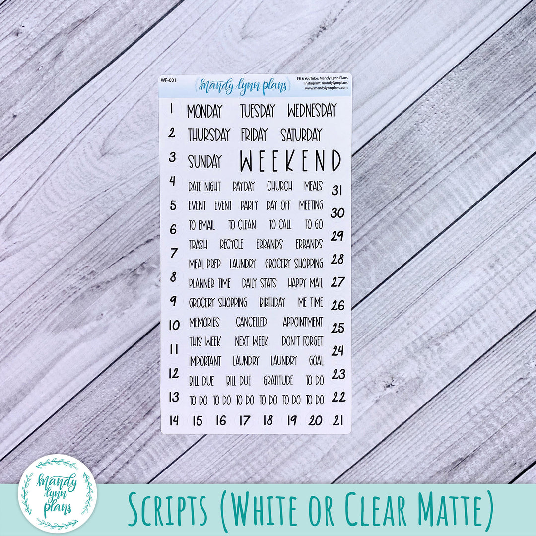 Hobonichi Cousin Weekly Kit || Desert Cactus || WK-C-1230
