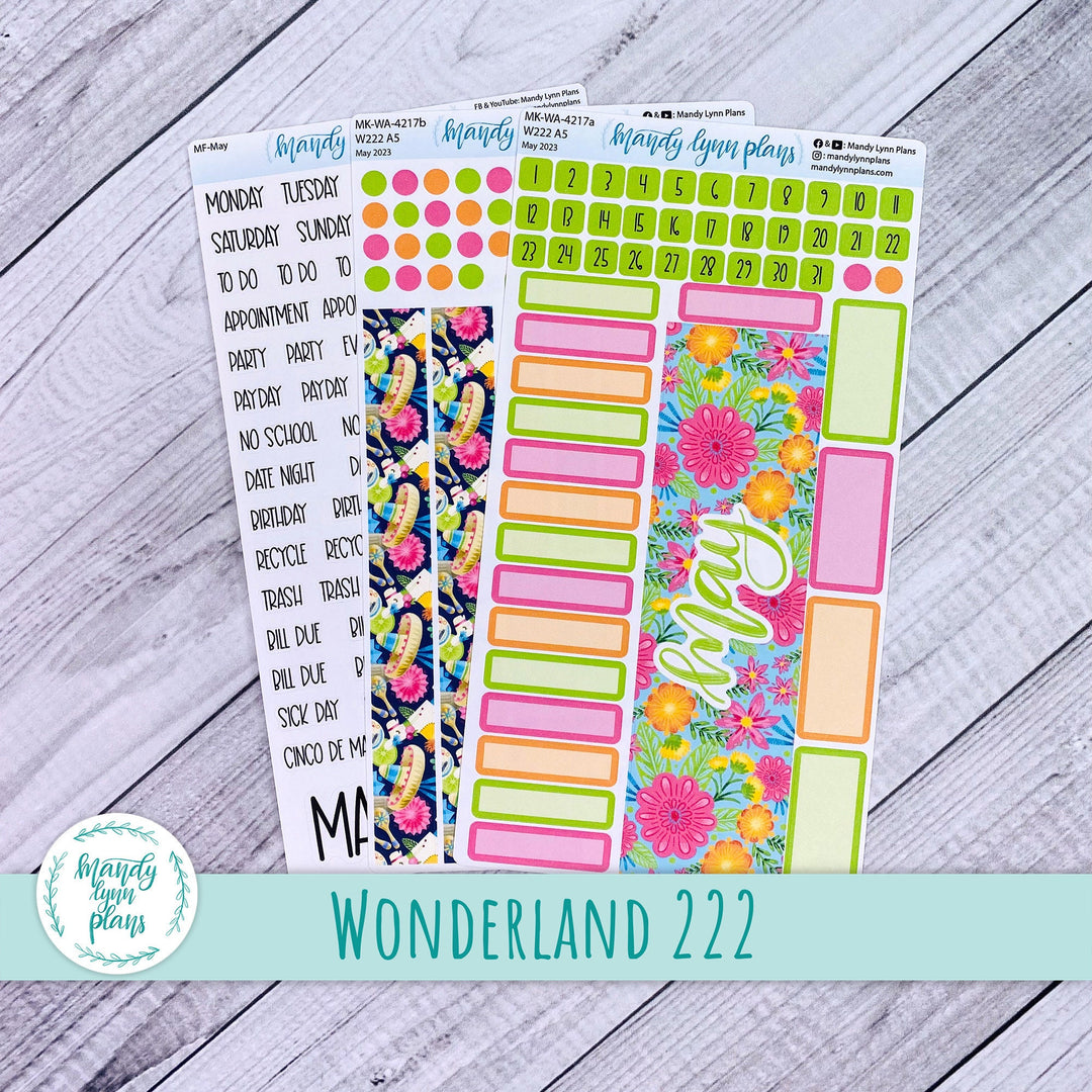 Wonderland 222 May 2023 Monthly Kit || Cinco de Mayo || 217