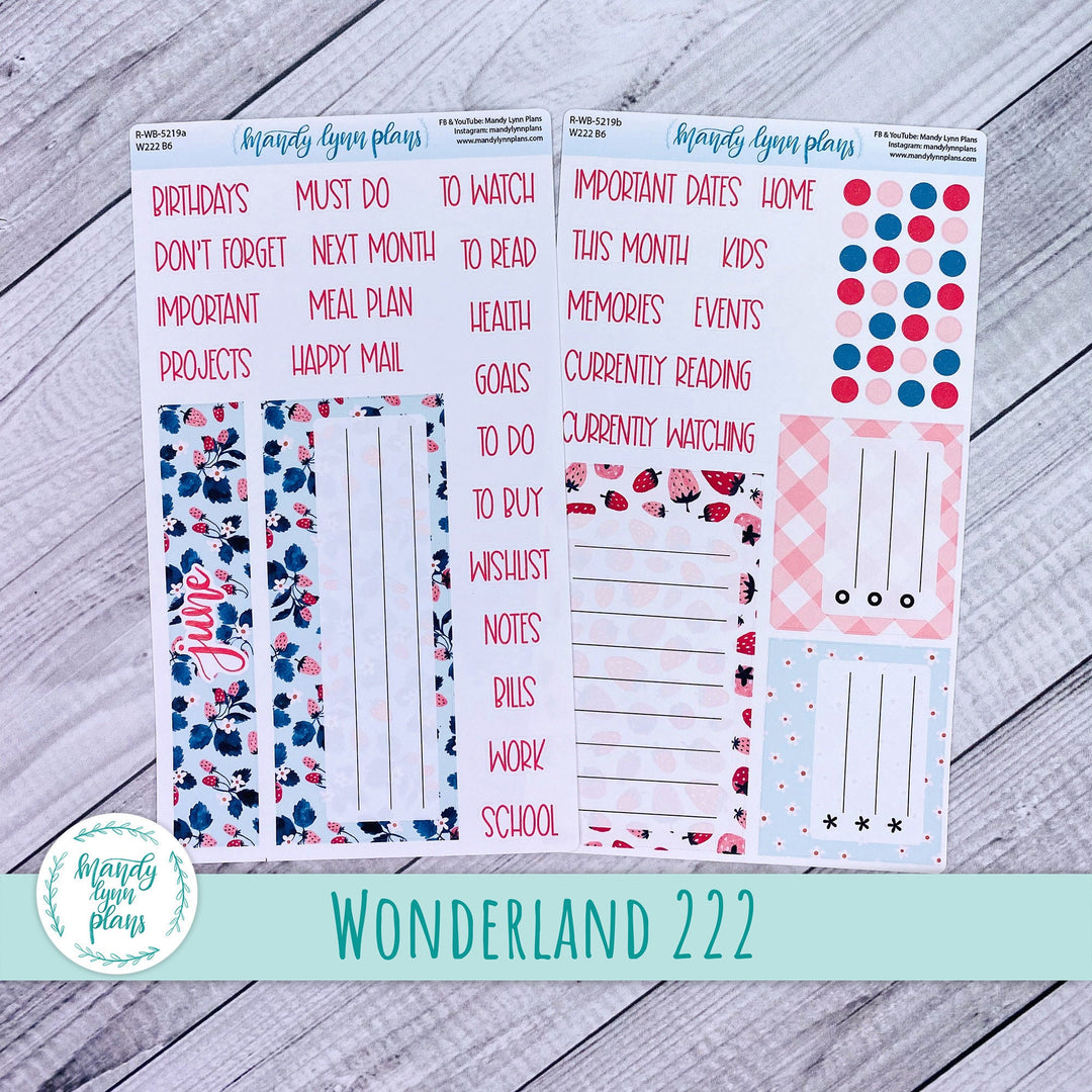 2024  June Wonderland 222 Dashboard || Strawberries || 219