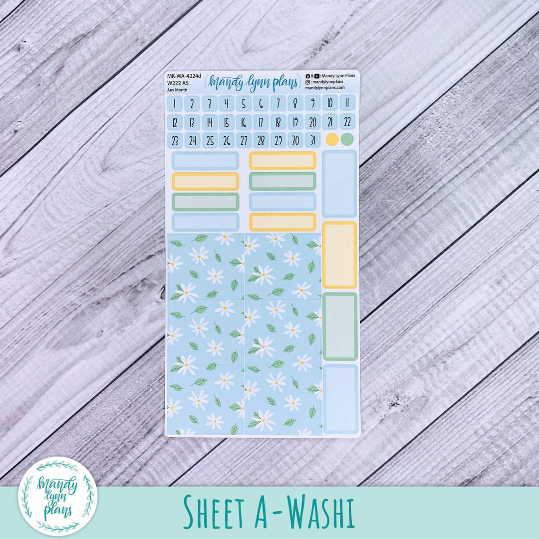 Any Month Wonderland 222 Monthly Kit || Summer Daisies || 224