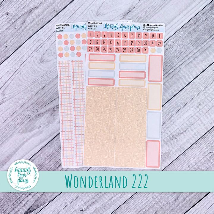 Any Month Wonderland 222 Monthly Kit || Summer Vibes || 226